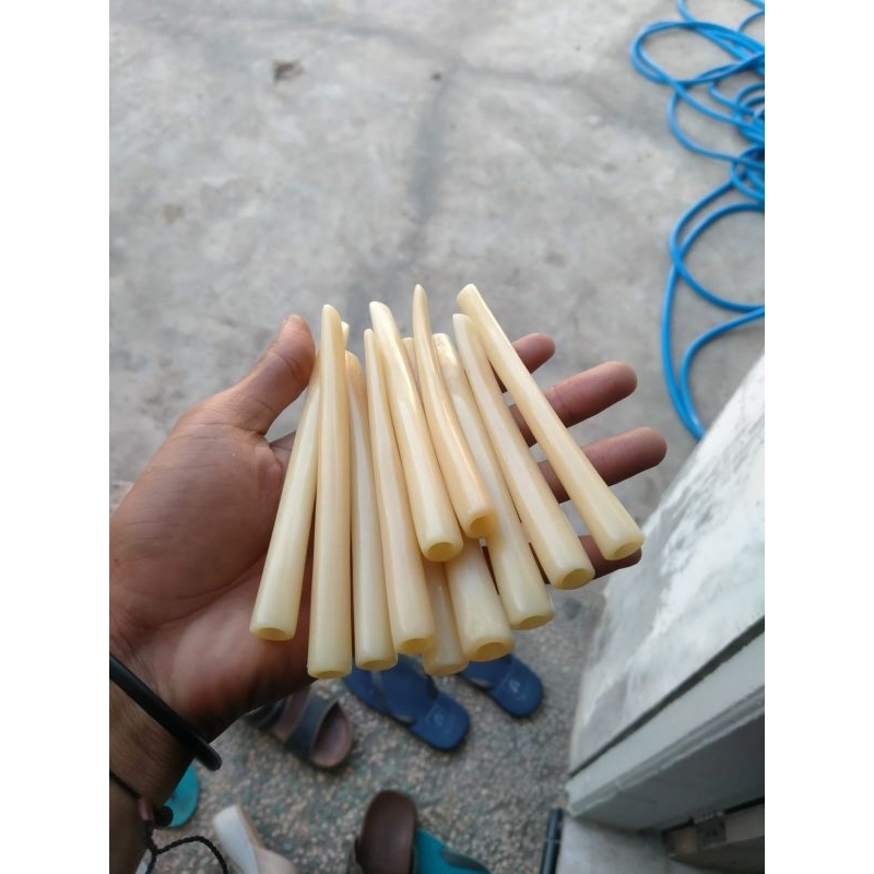 once pipa cangklong tulang/tulsap