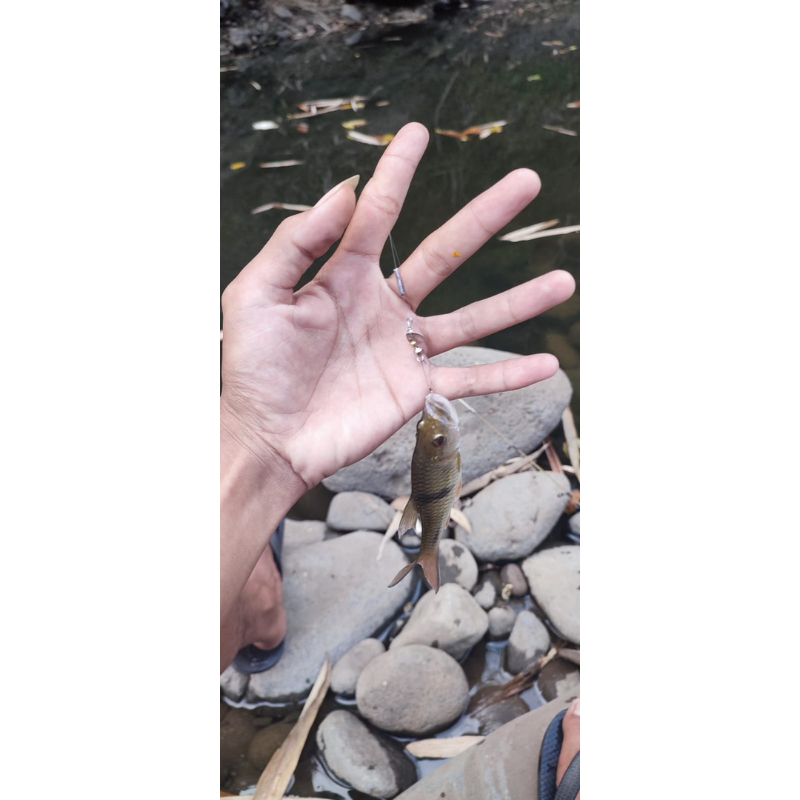 UMPAN RAYAP LURE | MICRO CASTING RAYAP