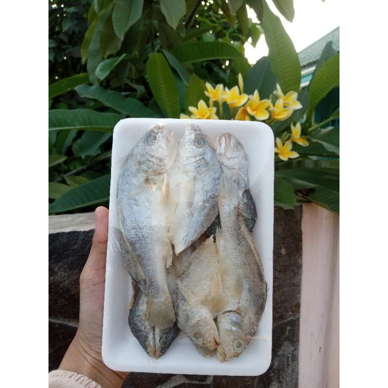 

ikan asin pala batu