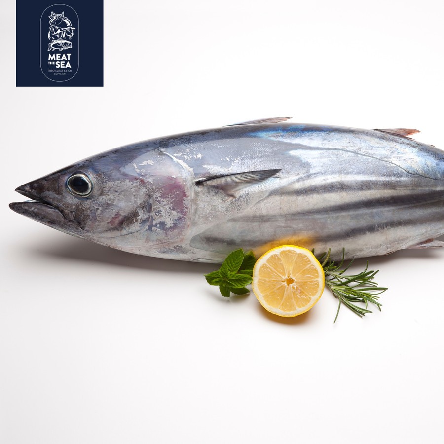 Ikan Cakalang | Fresh Frozen