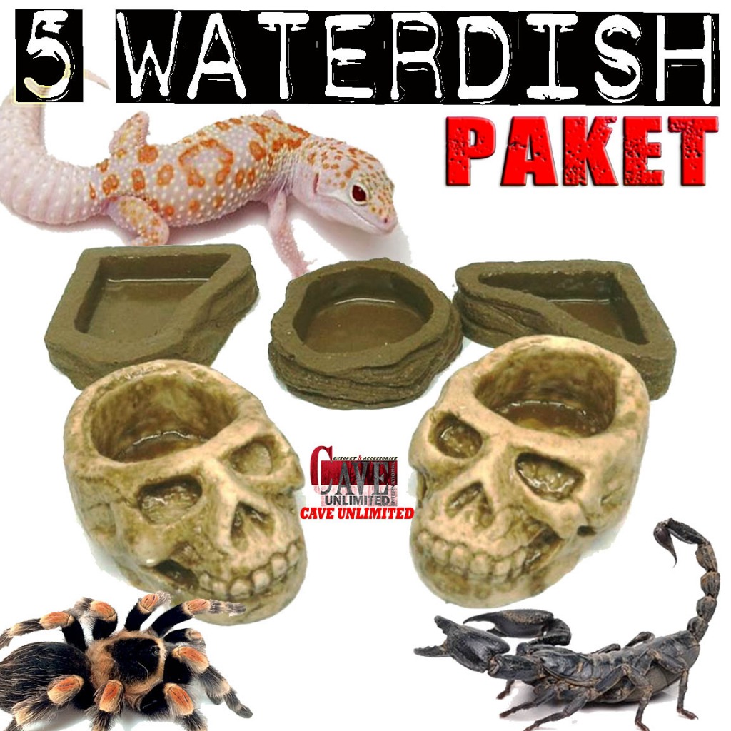 PAKET HEMAT 5 WD WATERDISH KECIL TEMPAT MAKAN MINUM WADAH KALSIUM REPTILE INSECTA GECKO KALAJENGKING