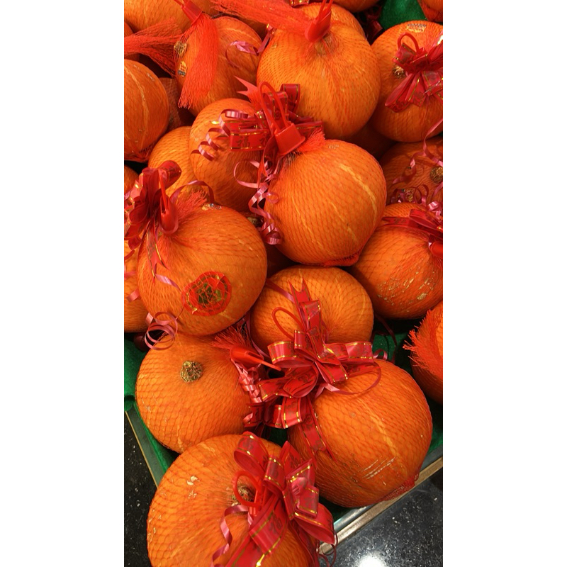 

Labu Emas Labu kuning Labu Sembahyang labu rezeki