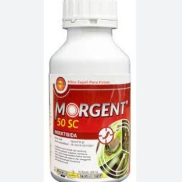 MORGENT 50SC 500 ml fipronil Insektisida racun kontak hama ulat