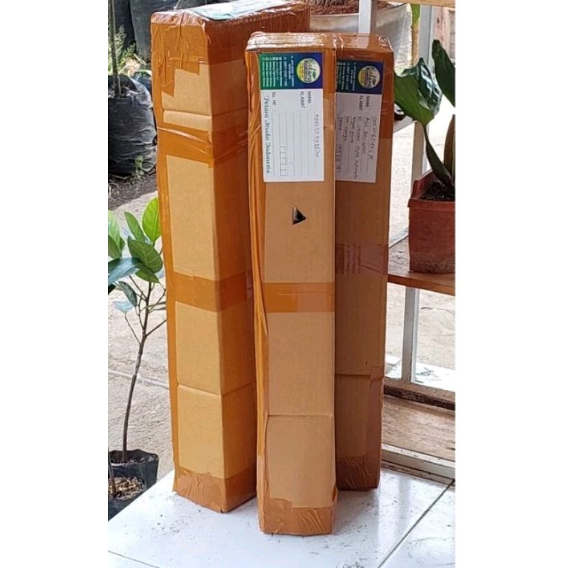 

Kardus tambahan pecking buat tanaman biar aman(kargo wajib beli)