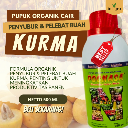 Pupuk Pelebat Buah Kurma Pupuk Organik Booster Perangsang Pohon Kurma Agar Cepat Berbuah Lebat Pupuk