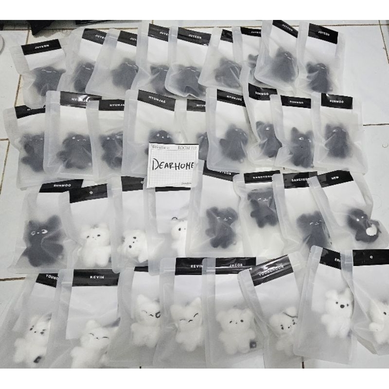 Pelunasan doll dan  MD Tbz Zeneration