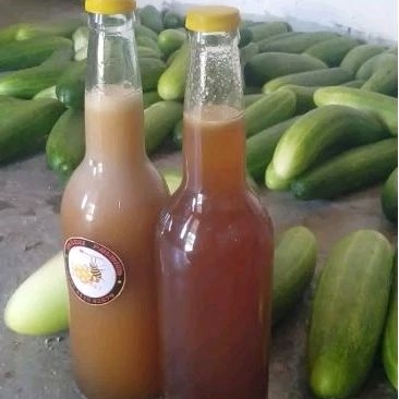

Madu Hutan Asli 100% 600 ML Tanpa campuran Dijamin Original KALAU TIDAK ASLI UANG KEMBALI