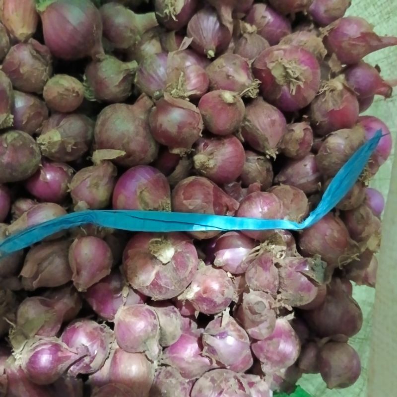 

bawang merah boyolali 250 gr