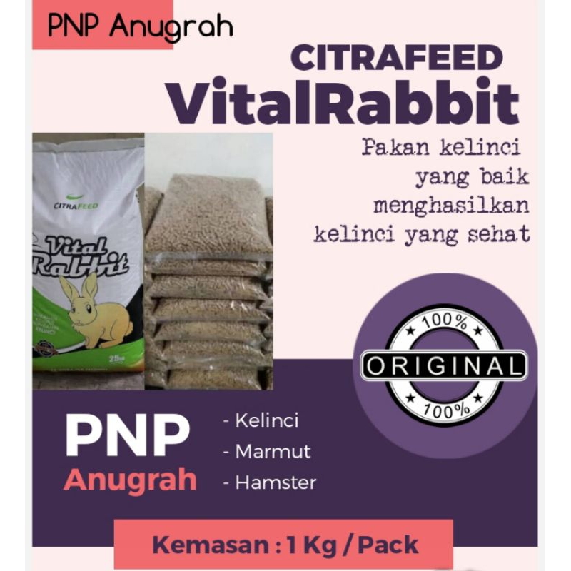 Pelet Kelinci - Vita Rabbit Makanan Kelinci