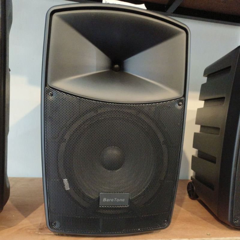 Speaker Portable Wireless BARETONE 12HB