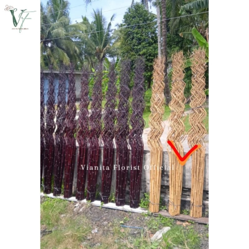 BAMBU ULIR CENDANI 2 METER (10 BATANG)