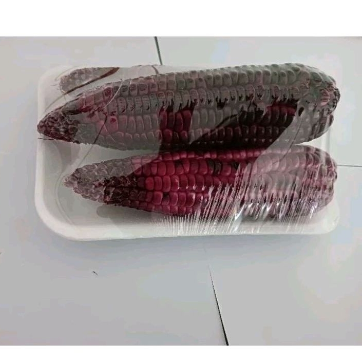 

jagung ungu unik pulut ketan