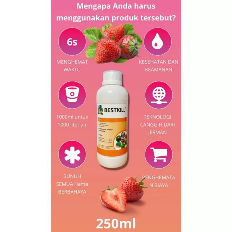 Insektisida Bestkill ORIGINAL isi 250ml - Paling Efektif dan Efisien membasmi Segala Jenis Serangga 