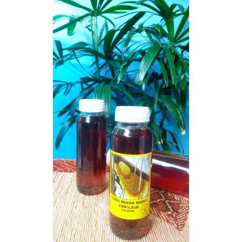 

Madu Hutan Baduy (manis) 350 gram. Dijamin asli