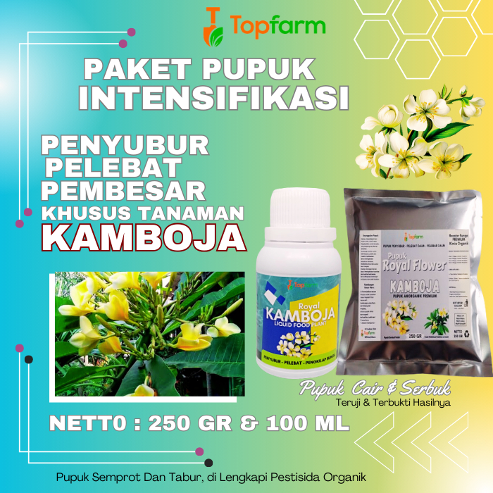 Pupuk Untuk Bunga Kamboja / Pupuk Kamboja / Pupuk Bunga Kamboja Japan / Pupuk Tanaman Bunga Kamboja 