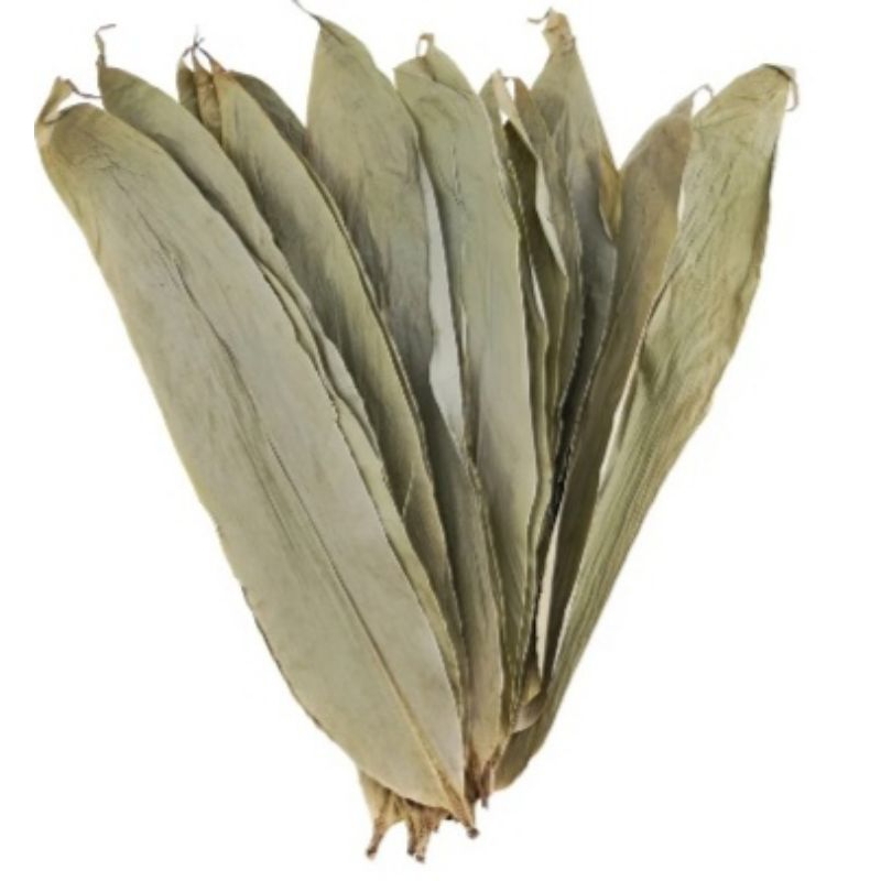 daun bambu kering