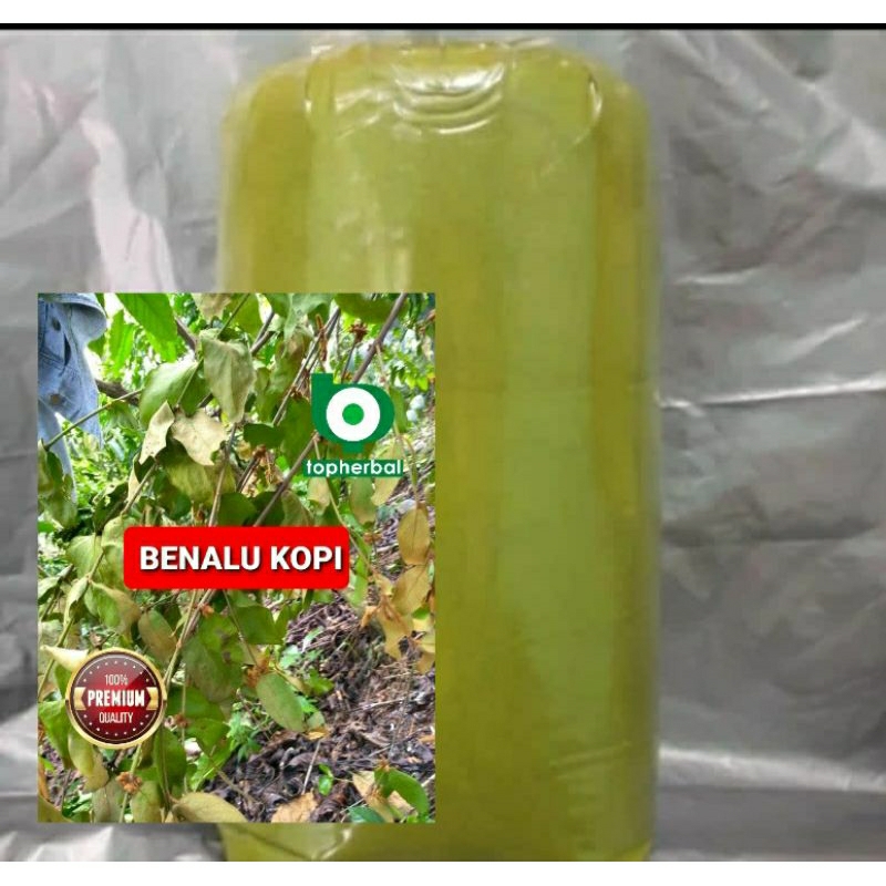 

Bubuk Benalu Kopi Hutan 500 Gram