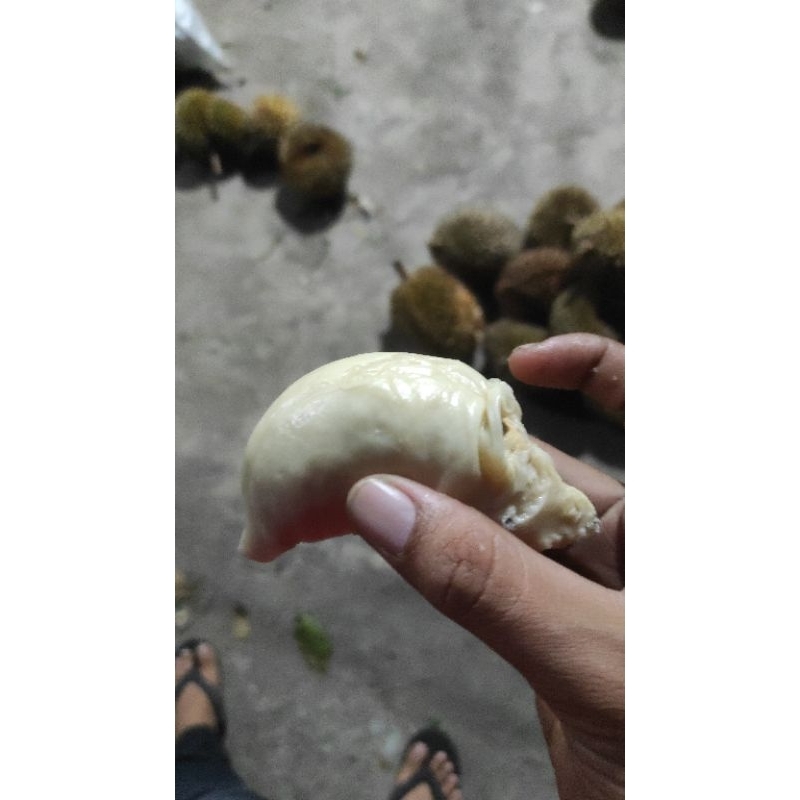 

DURIAN ACEH MURAH