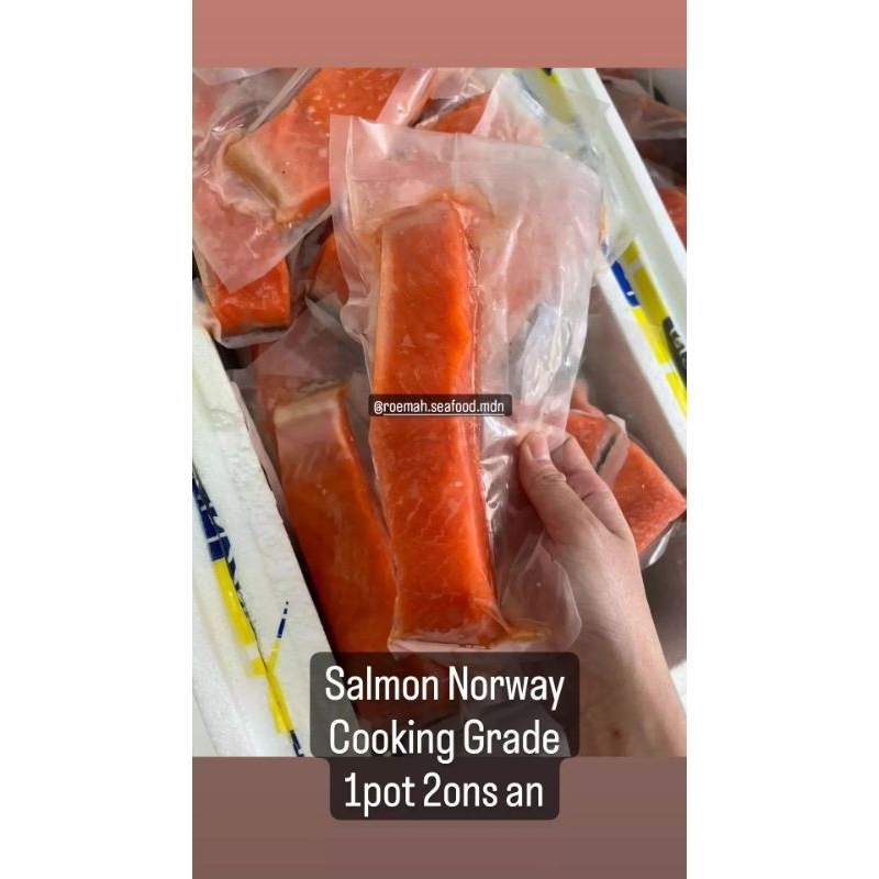 Ikan Salmon Norway Badan