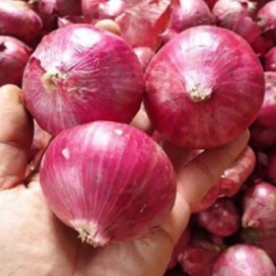 

Bawang Merah Peking India Segar Organik 500 Gram