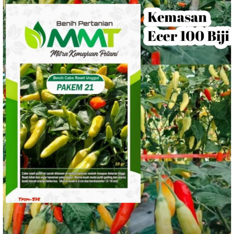 Cabe Pakem 21 Isi 100 Biji | Benih Cabai Rawit | Benih Sayuran