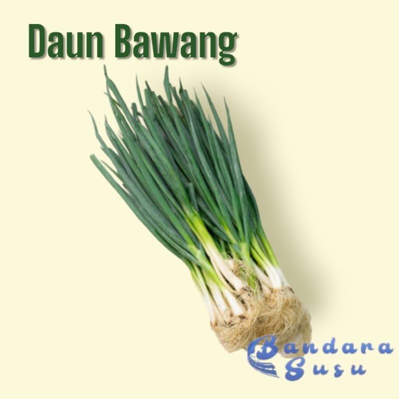 

Daun Bawang 100 Gram