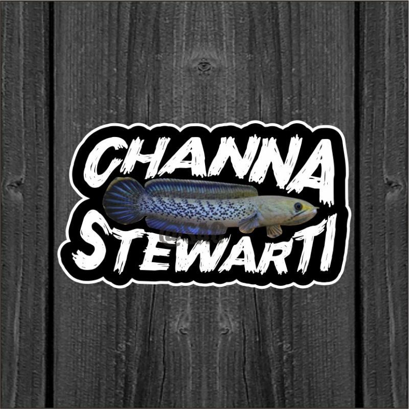 

Stiker stewart