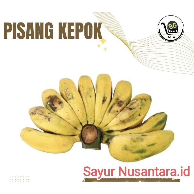 

Pisang kepok 1 sisir