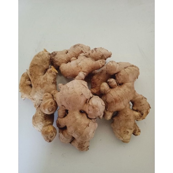 

PENJUALAN CEPATBEST SELLER jahe super 5gram