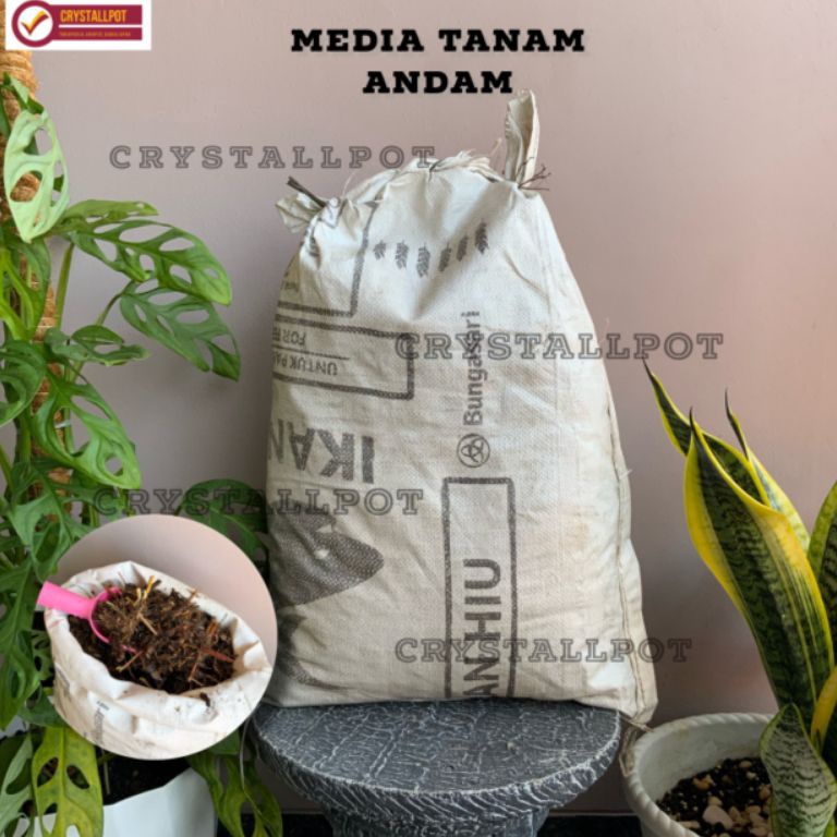 BAYAR DITEMPAT  Media tanam organik andam karungan  ANDAM KARUNG