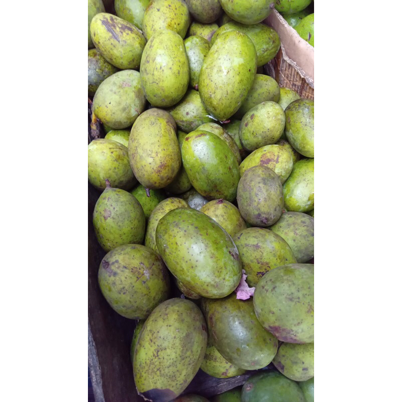 

MANGGA KAWENI FRESH 1kg
