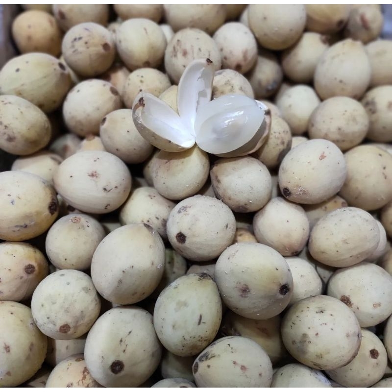 

Buah Duku Palembang Manis 1 Kg
