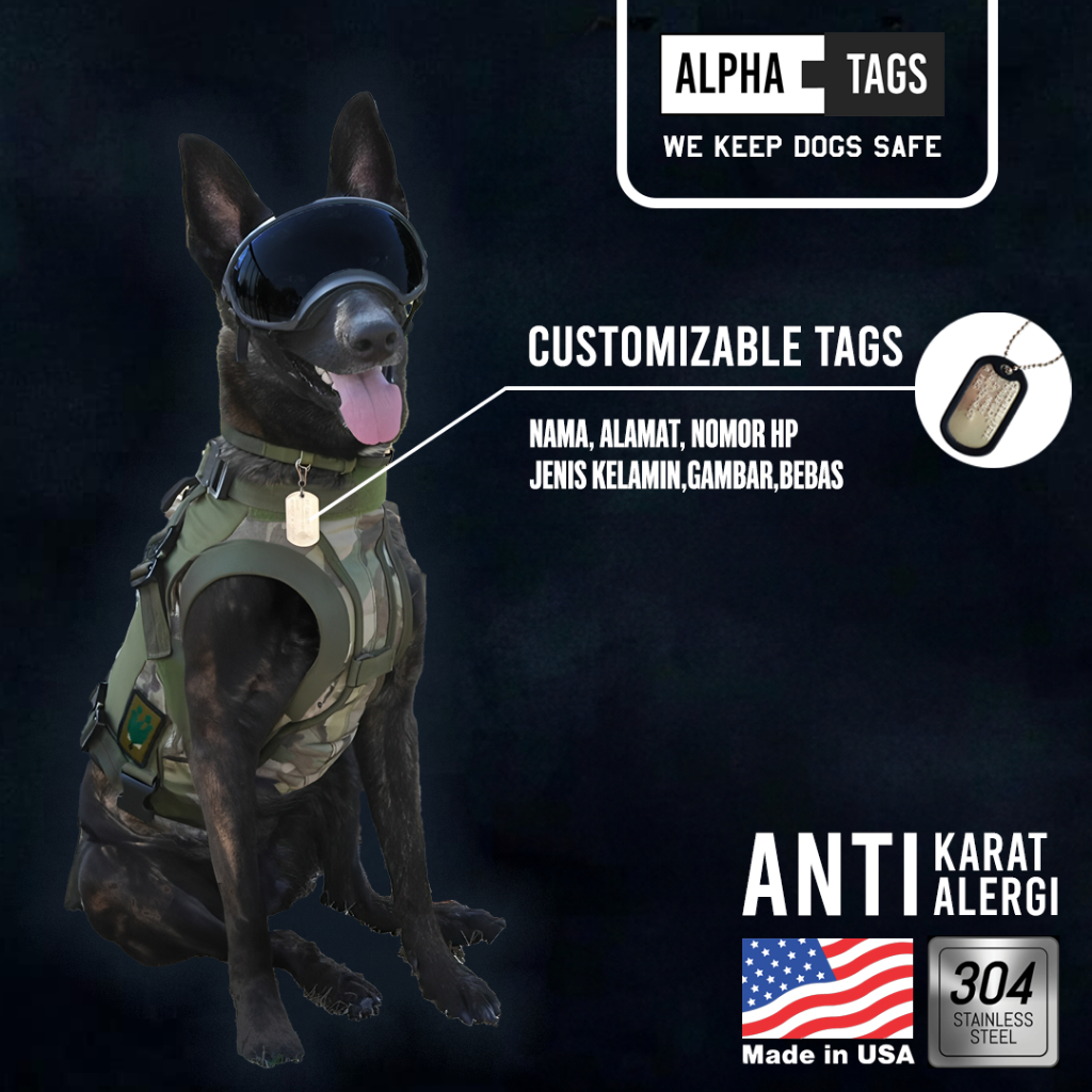 Kalung anjing / kucing custom nama,alamat,gambar dogtags LOST PREVENTION