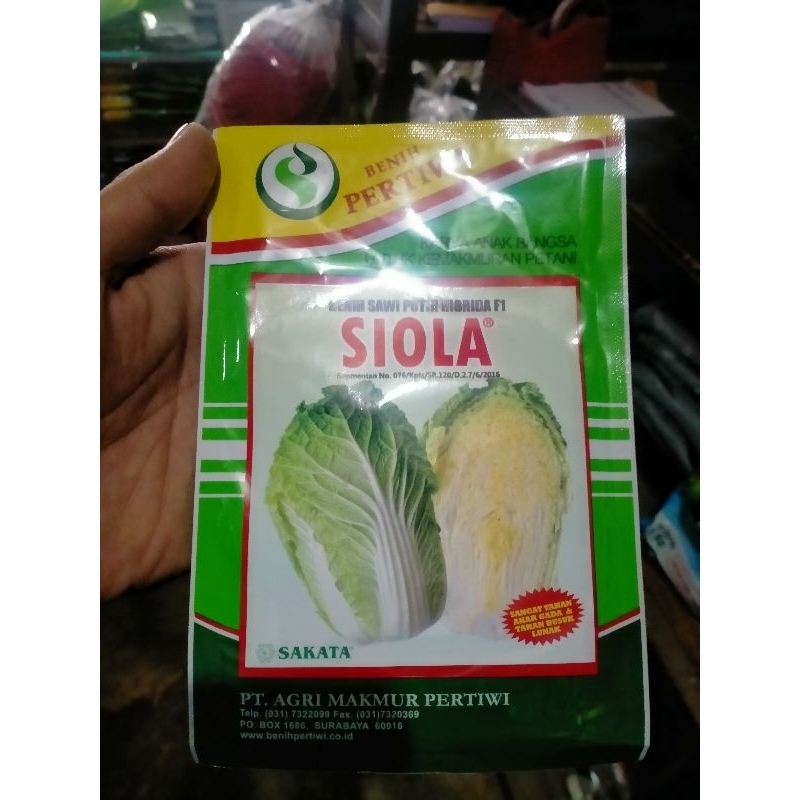 BENIH SAWI PUTIH SIOLA f1