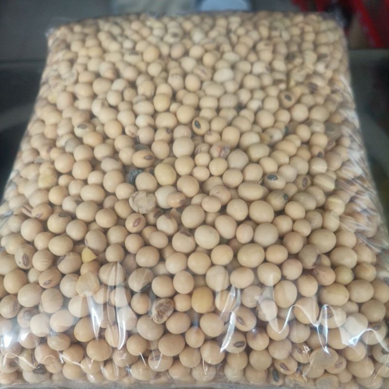 

Kacang Kedelai Mentah 250 gr / 500 gr / 1 kg / Kedele / Raw Soy Bean