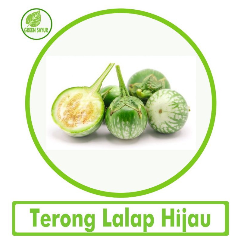 

Terong Lalap Hijau Bulat 250 Gram