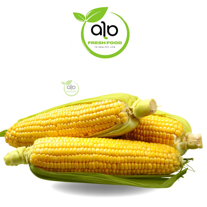 

Jagung Manis Segar - ALO Fresh food