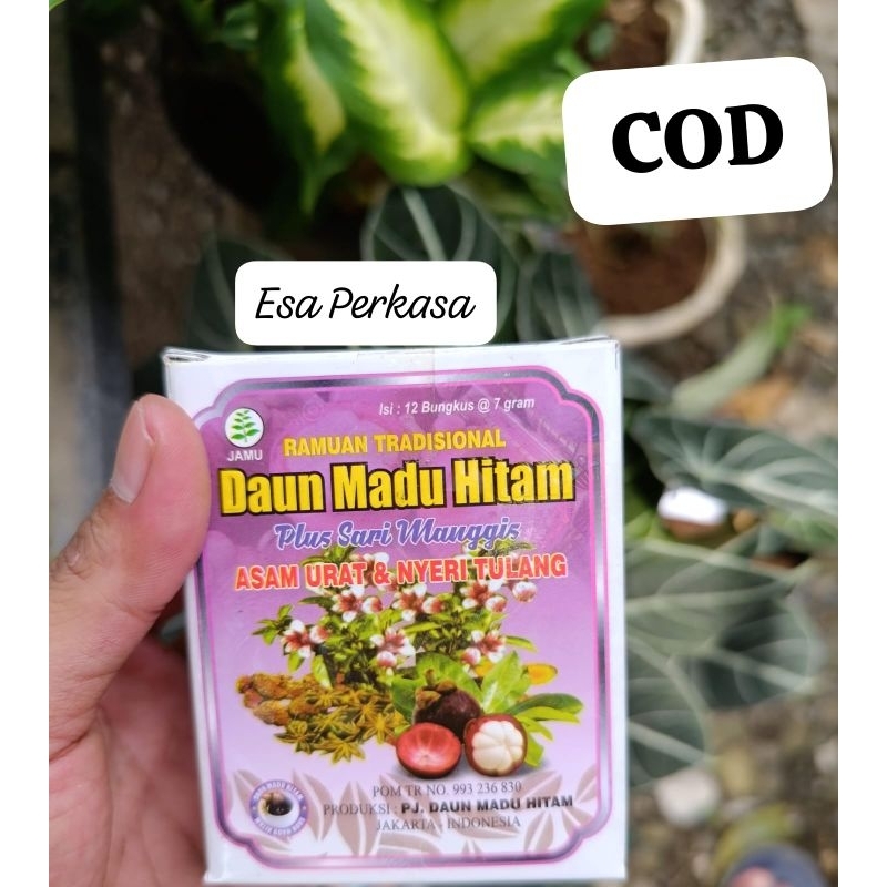 

Daun Madu Hitam jamu