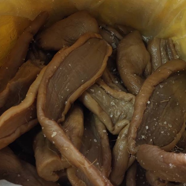 

PAKET LENGKAP Chaipo Asin Chai Po Asin Choipu Asinlobak asin 25gr