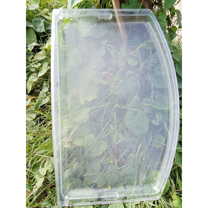 rak ambalan tengah kulkas 1 pintu Sanyo dan Aqua slym beauty rak kulkas mika orisnil