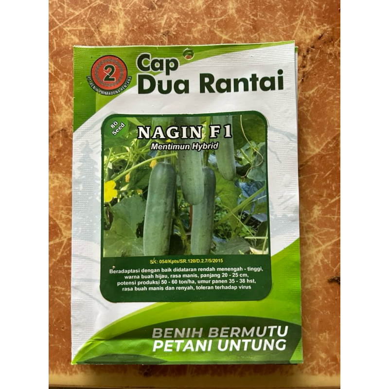 Benih timun Nagin f1