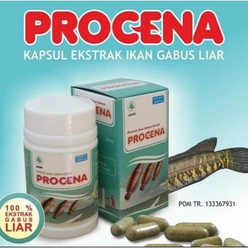PROCENA ORIGINAL EKSTRAK IKAN GABUS 60 KAPSUL
