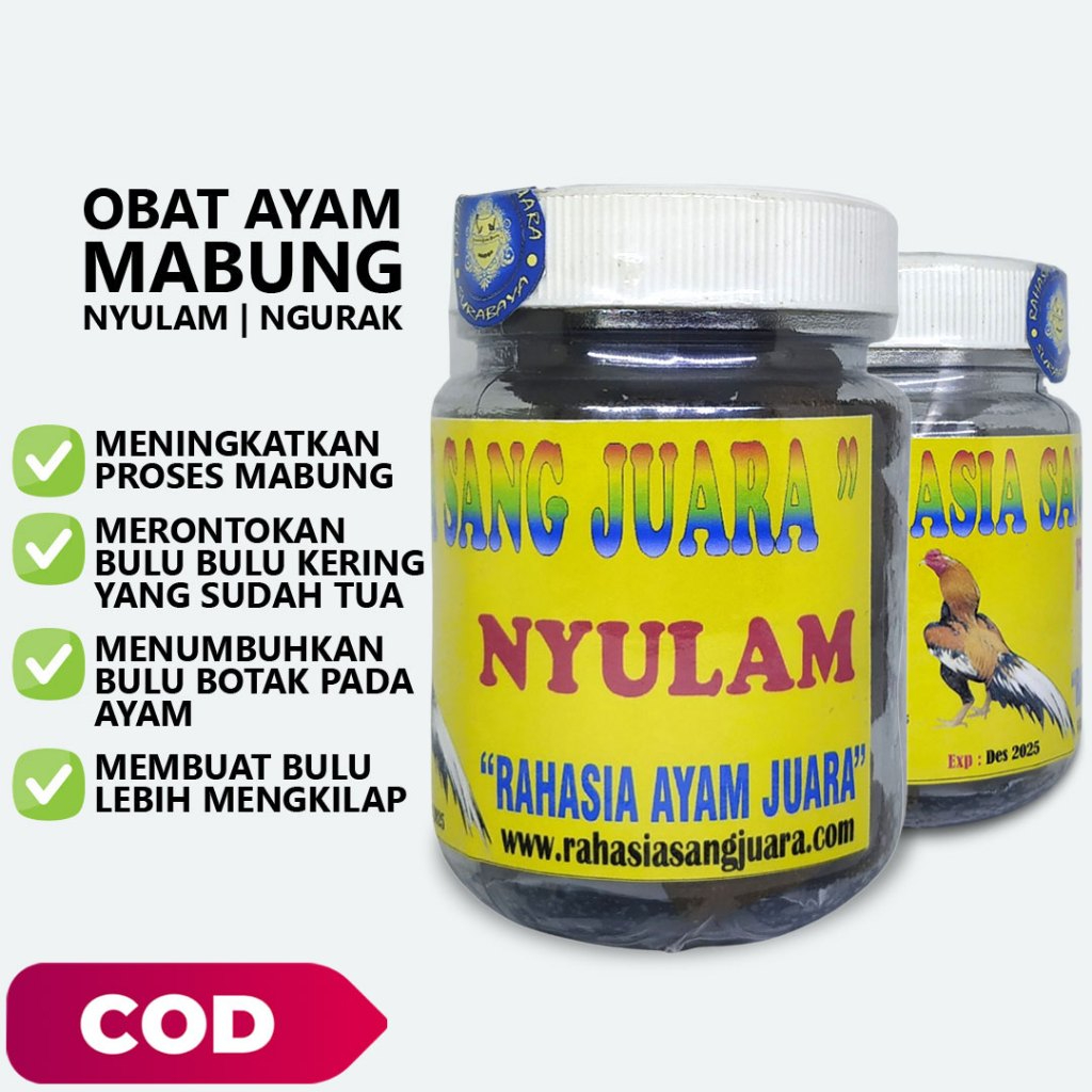NYULAM AYAM MABUNG AMPUH MENUMBUHKAN BULU BOTAK PADA AYAM