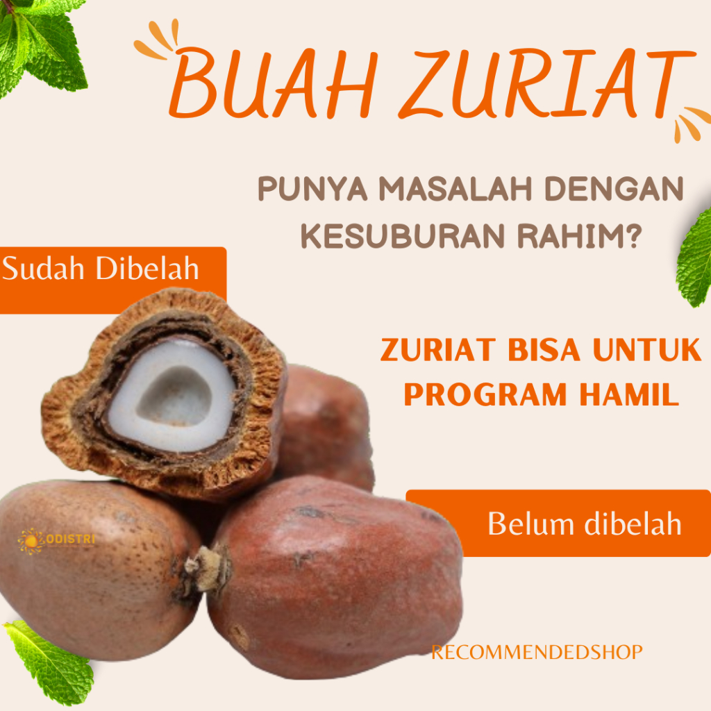 

Madu Zuriat Kandungan Promil 350g buah Zuriyat /Madu Program hamil/Buah Zuriat Promil 1Kg / Zuriat Mesir Original / uah Zuriat Mesir Belah 1 Kg Doum Belah Promil Asli