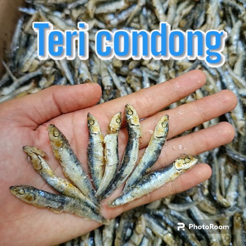 

IKAN ASIN TERI CONDONG REBUS 1 KG GURIH