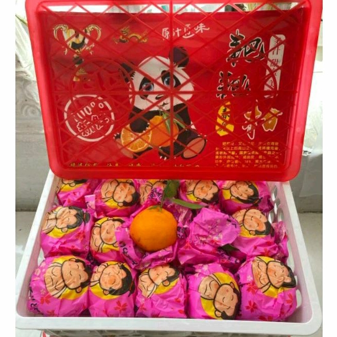 

Jeruk Dekopon Super Premium / Buah Jeruk Chun Jian Manis / 6 Kg / Keranjang