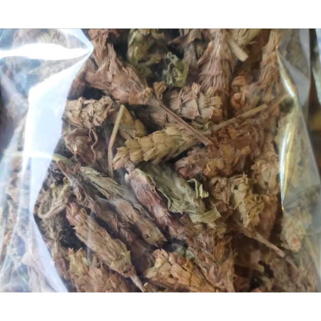 

Xia Ku Cao 夏枯草 / Prunella Vulgaris 500 Gram - 1 Kg