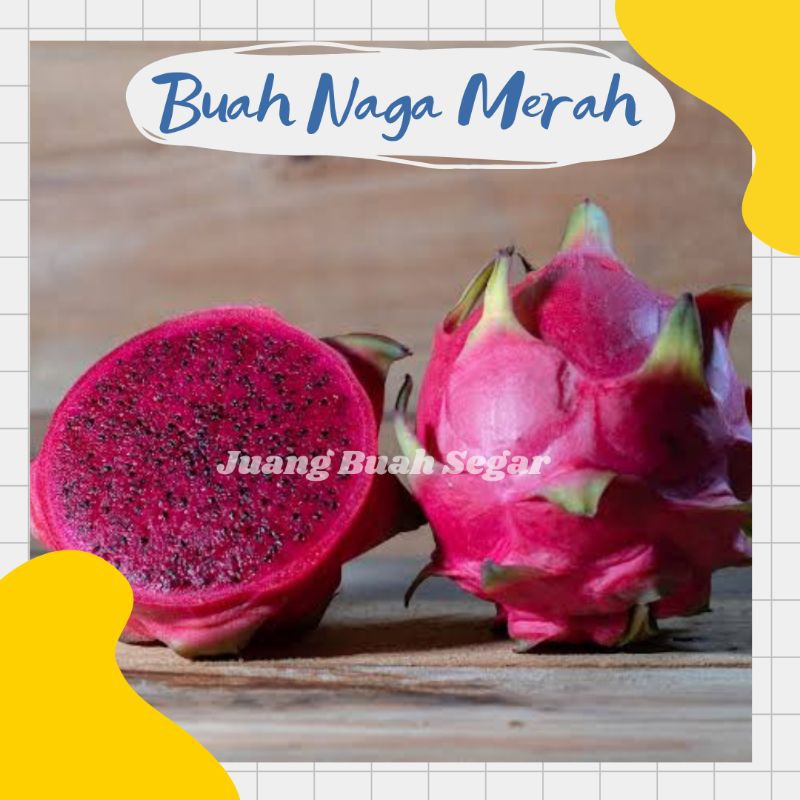 

buah naga merah 1000 gram