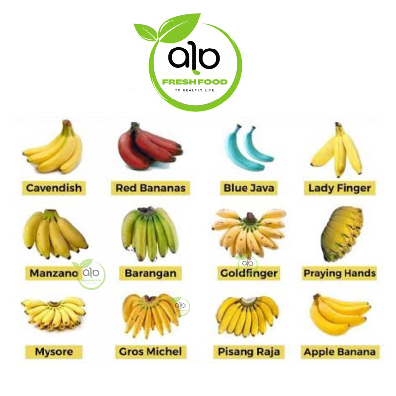 

Aneka Pisang Enak 1 sisir - ALO Fresh Food