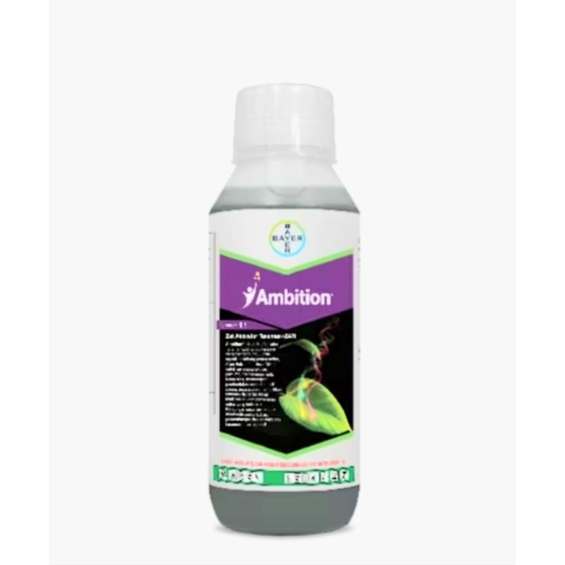 Ambition 500ml